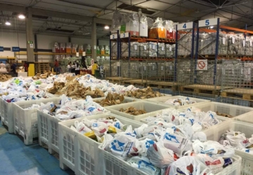 Campanha do Banco Alimentar do Porto juntou 370 toneladas de bens alimentares