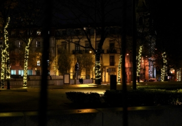 Votação NiP: qual é a rua com a iluminação mais bonita do Porto?