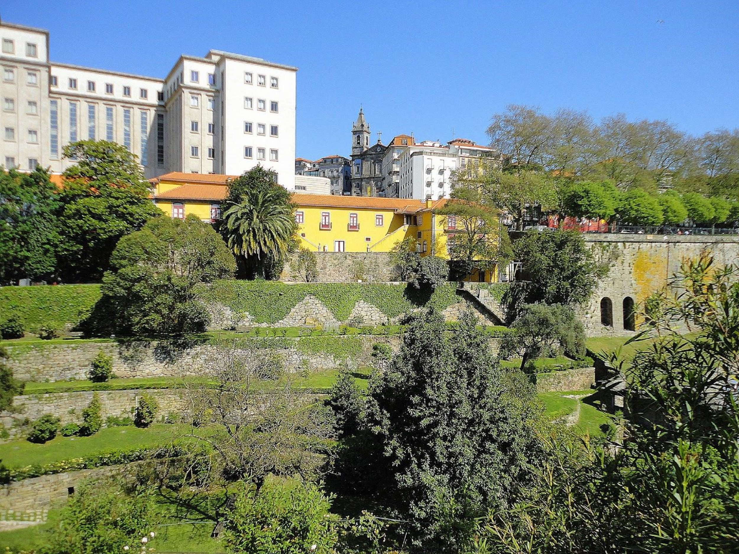 Exposição Sessenta de Sessenta no 60º Aniversário da Árvore - Cultura de  Borla