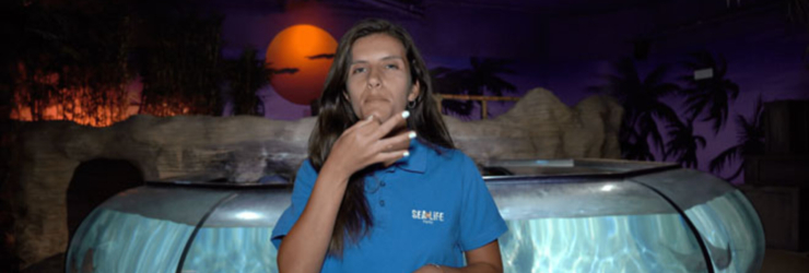 Adeus, barreiras linguísticas: SEA LIFE Porto vai ter palestras em língua gestual portuguesa