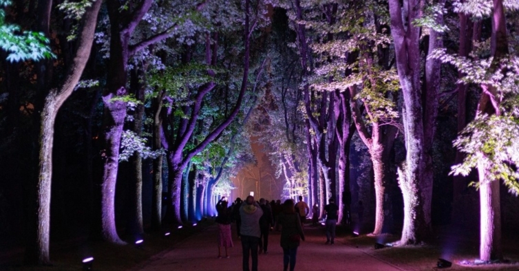 Serralves em Luz regressa com uma exposição noturna (ainda) mais interativa  | New in Porto