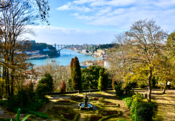 Programa que promove caminhadas ao ar livre pelo património do Porto está de volta